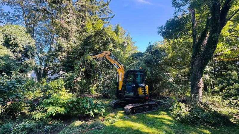 Clearing overgrowth with the mini excavator