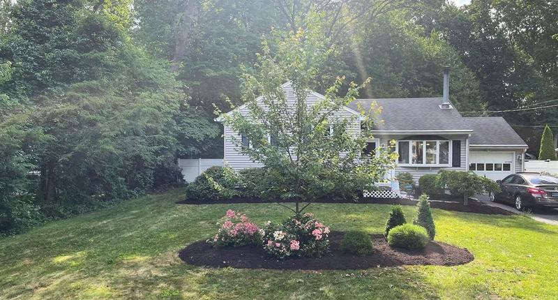 New island bed with a young tree and flowering shrubs
