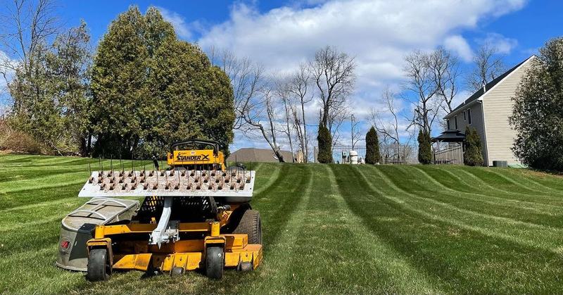 Spring dethatching