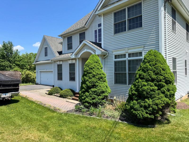 Evergreens trimmed and shaped